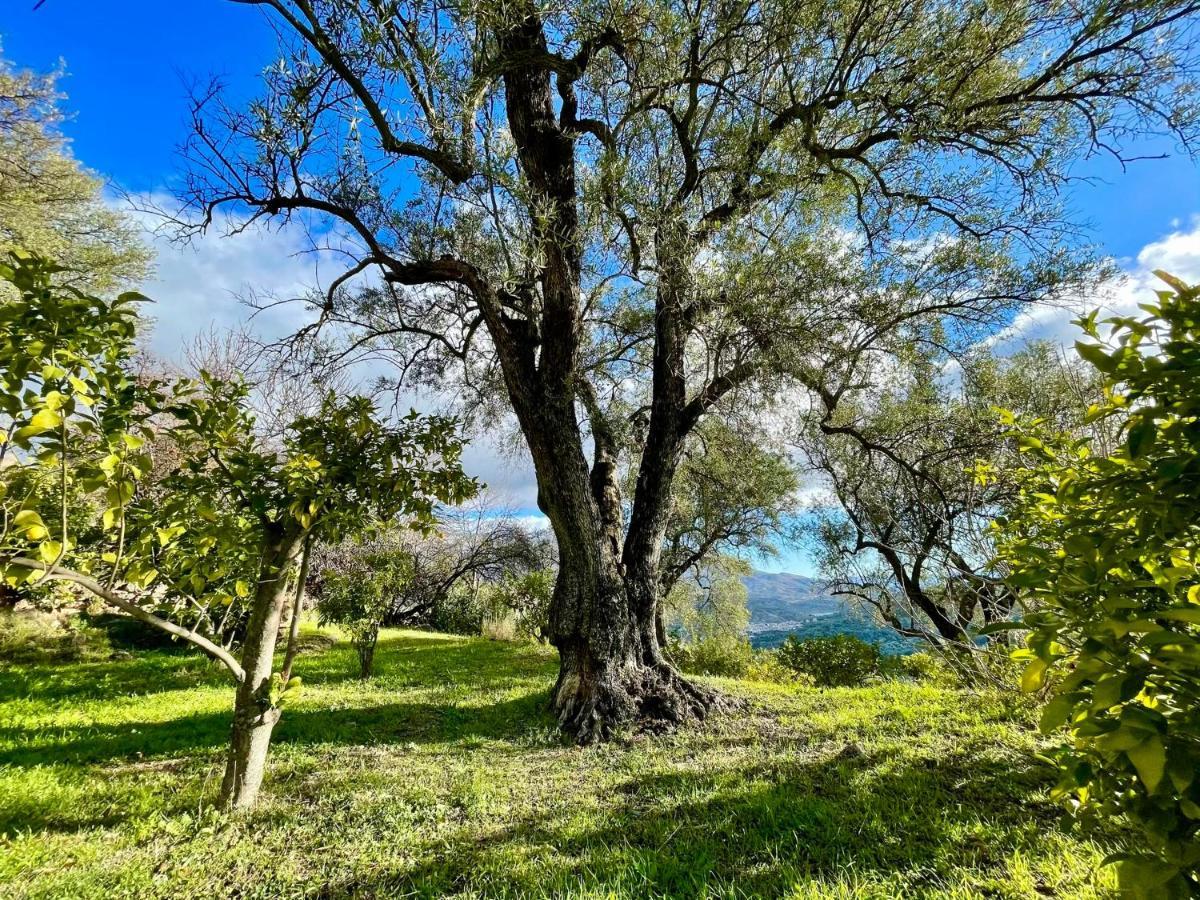 La Esperanza Granada Luxury Hacienda & Private Villa Saleres ภายนอก รูปภาพ